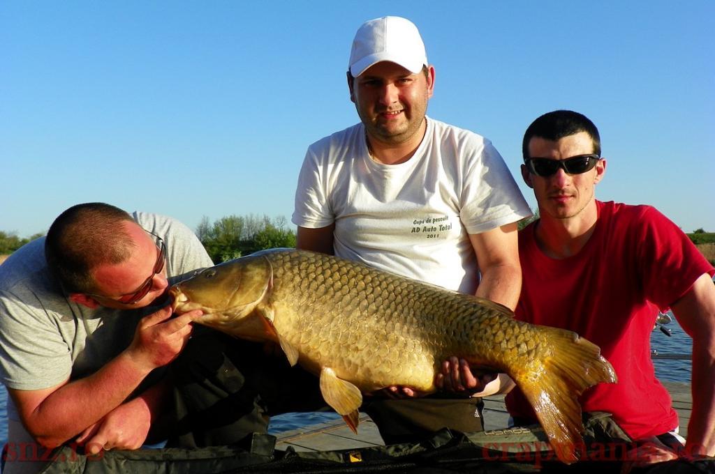 Trofeul tancabesti 2013 - 1010312.jpg